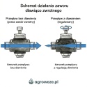 Zawór dławiąco zwrotny fi08 prosty