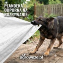 Plandeka biała 2x3m 55g/m2