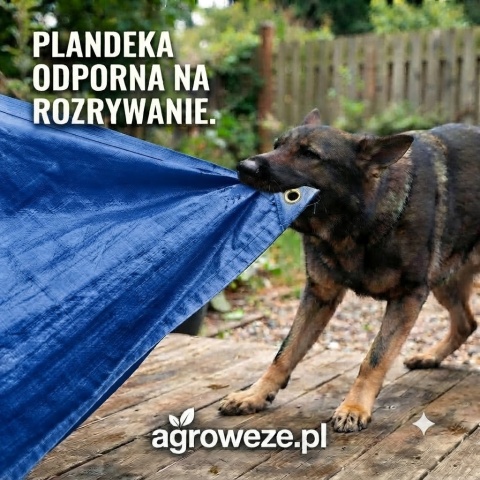Plandeka niebieska 3x4m 55g/m2