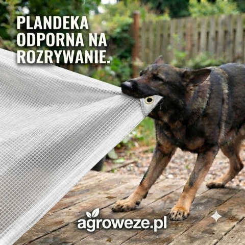 Plandeka zbrojona Leno Transparent 10x12m 100g/m2