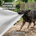Plandeka zbrojona Leno Transparent 3x4m 100g/m2
