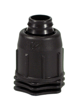 Korek D-25