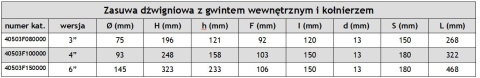 Zasuwa dźwigniowa 6", gwint i kołnierz Zasuwa dźwigniowa 6", gwint i kołnierz