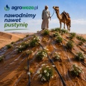 10szt. złączek 17 taśma - 3/4"gwint wewnętrzny, do taśmy kroplującej
